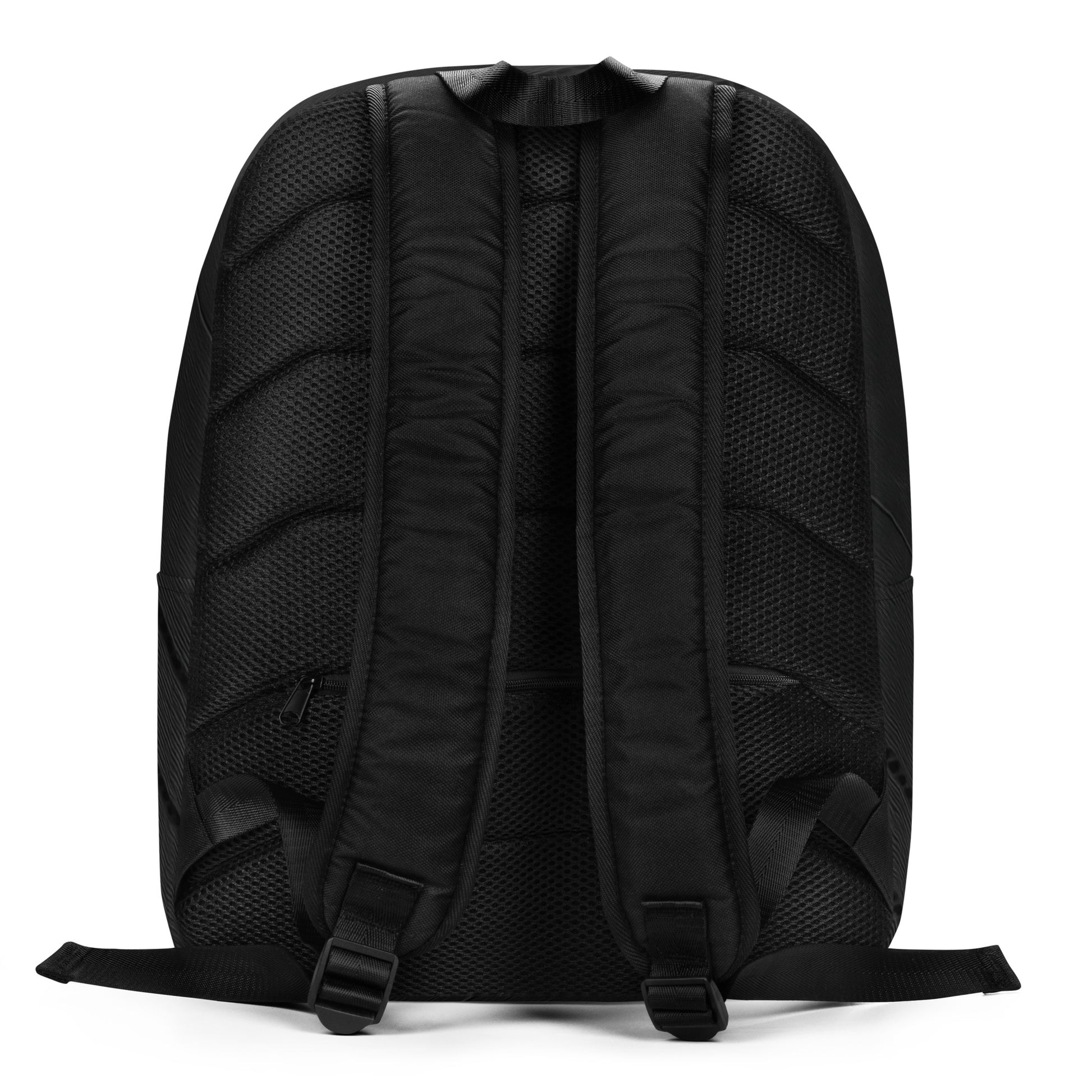 Black backpack shown from the back on a white background