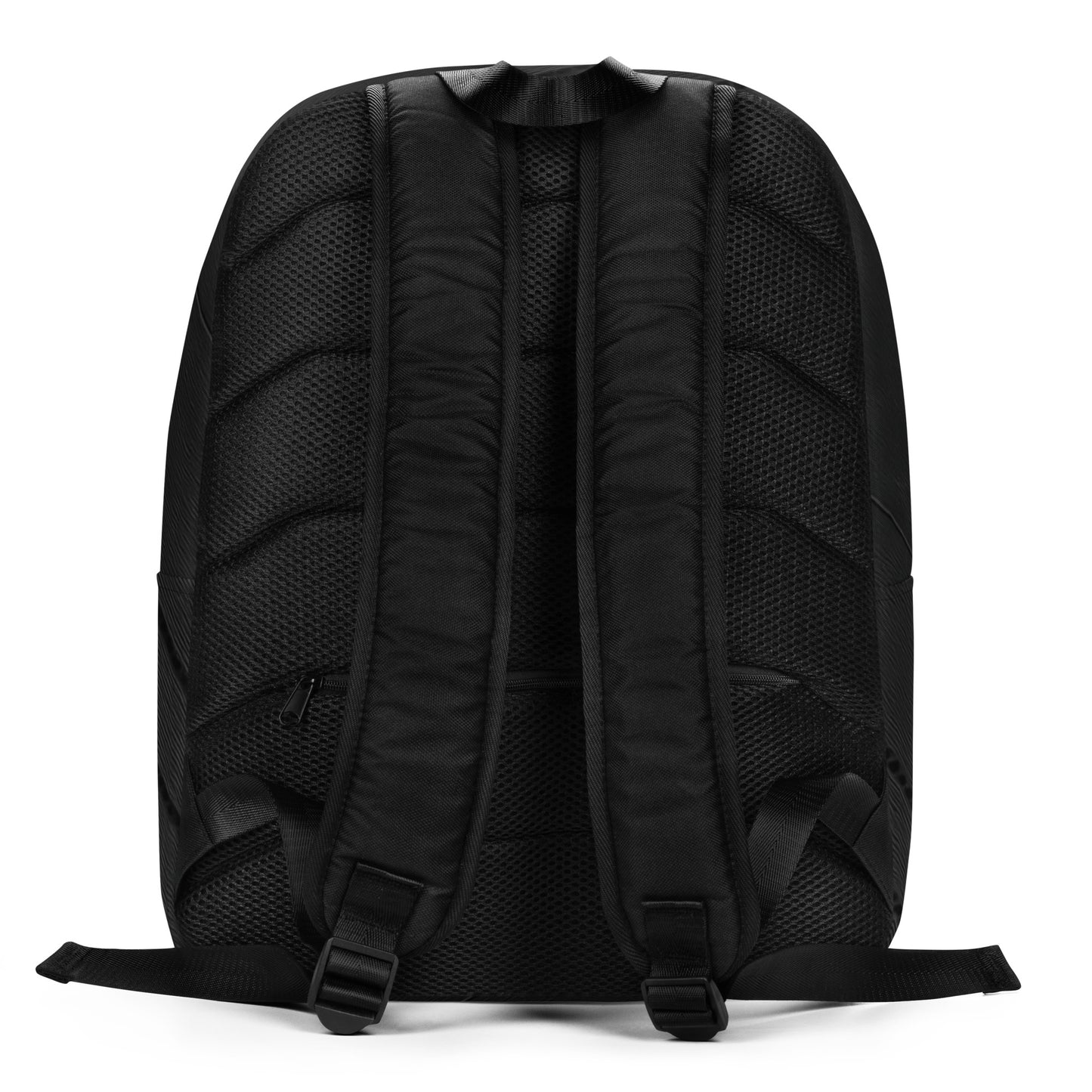 Black backpack shown from the back on a white background
